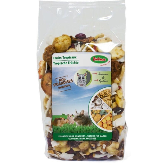 Picture of Bubimex rodent tropical fruit rodent treats 125gr